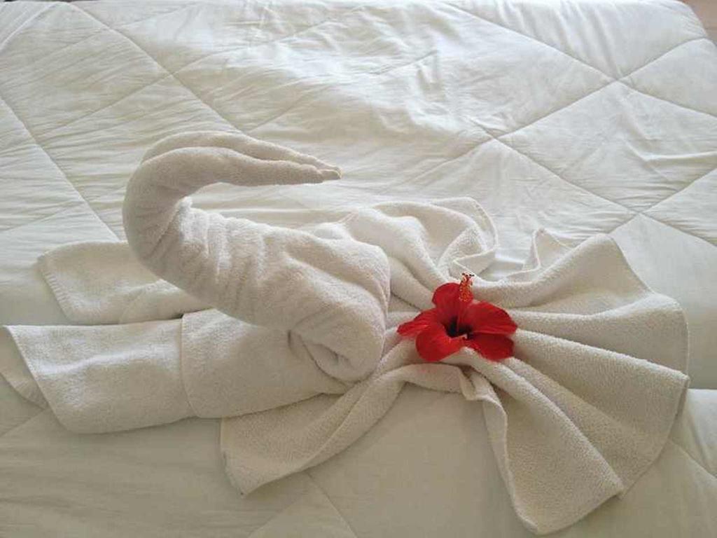 Hotel Aurora Scauri  Eksteriør billede
